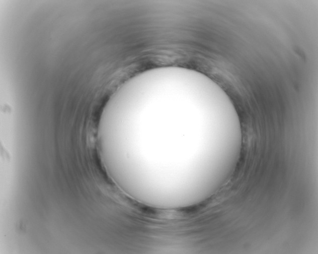 X0000091230226200708091119