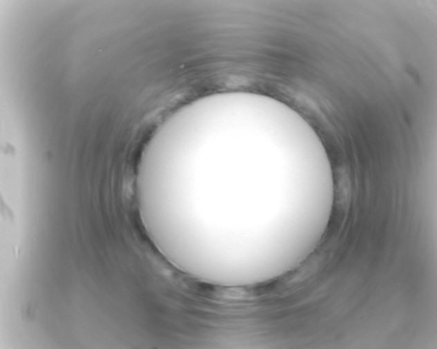 X0000091230230200708091119
