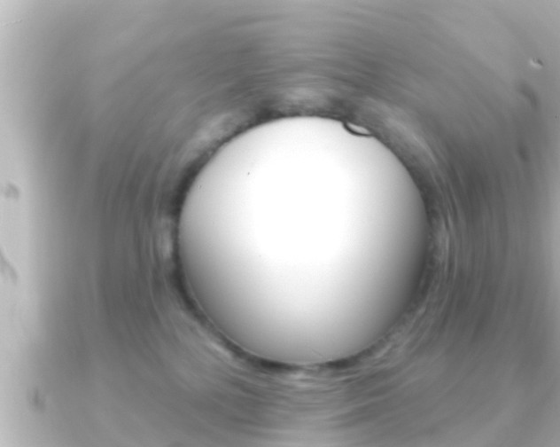 X0000091230232200708091119