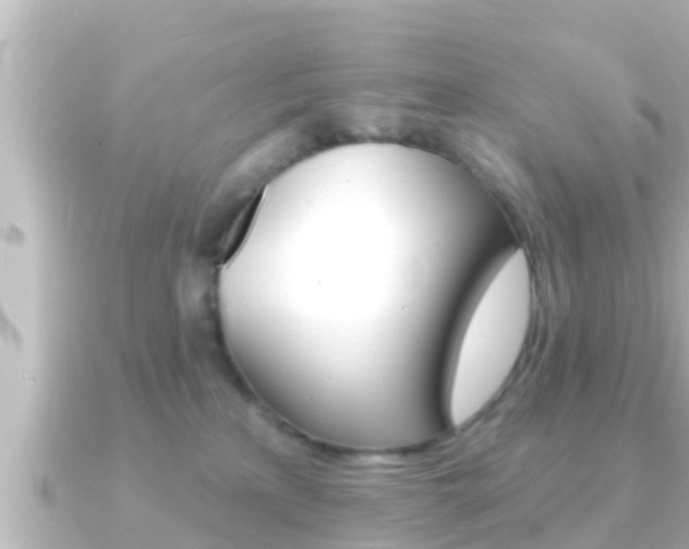 X0000091230233200708091119