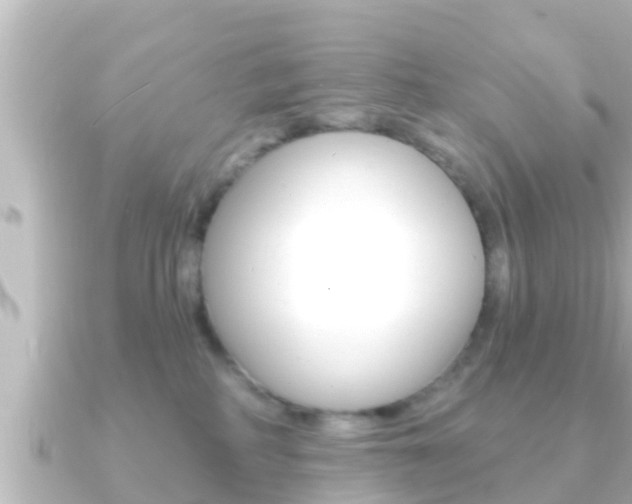 X0000091230234200708091119