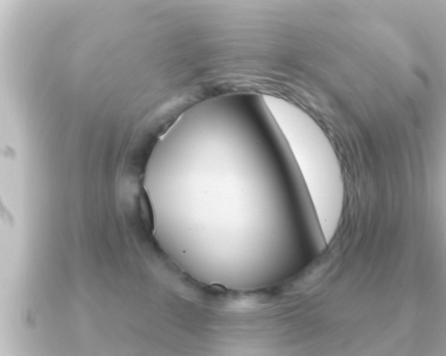 X0000091230235200708091119
