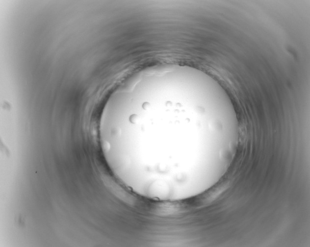 X0000091230238200708091119