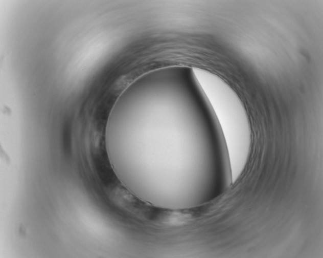 X0000091230239200708091119