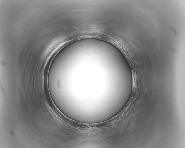 X0000091230243200708091118