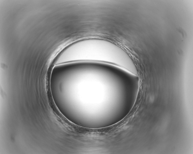 X0000091230244200708091118