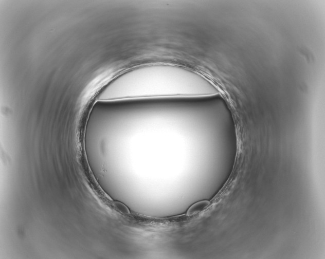 X0000091230245200708091118