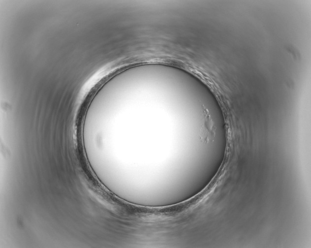 X0000091230246200708091118