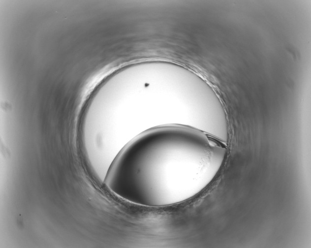 X0000091230248200708091118