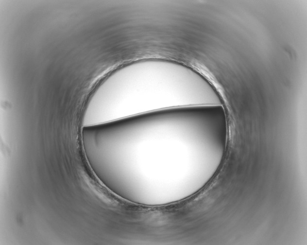 X0000091230249200708091118