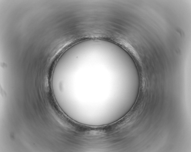 X0000091230251200708091118