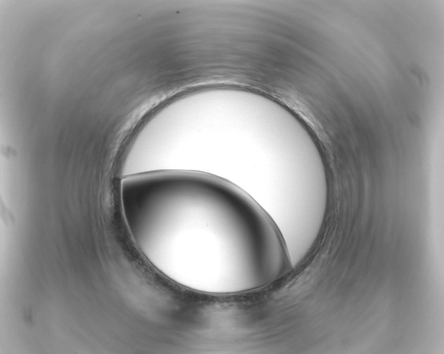 X0000091230252200708091118
