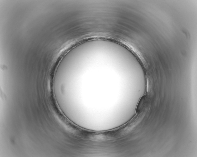 X0000091230253200708091118