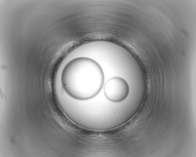 X0000091230254200708091118