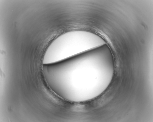 X0000091230257200708091118