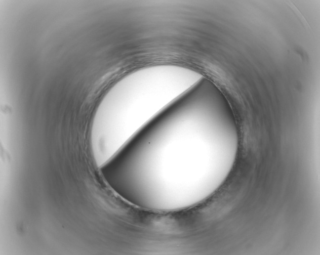 X0000091230258200708091118