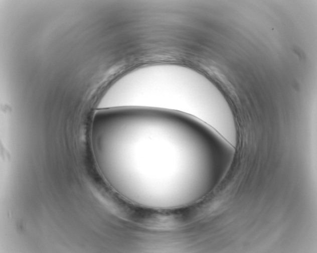 X0000091230260200708091118