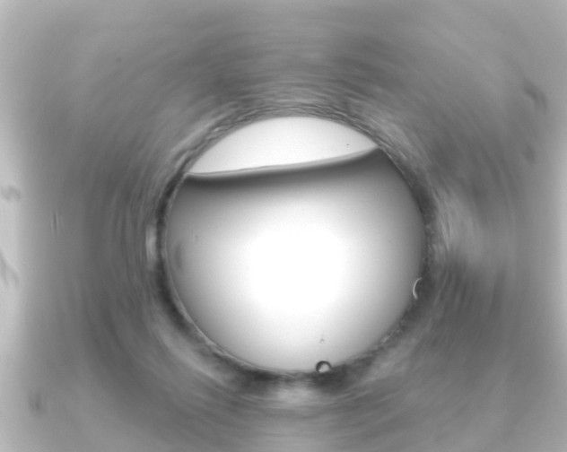 X0000091230262200708091118