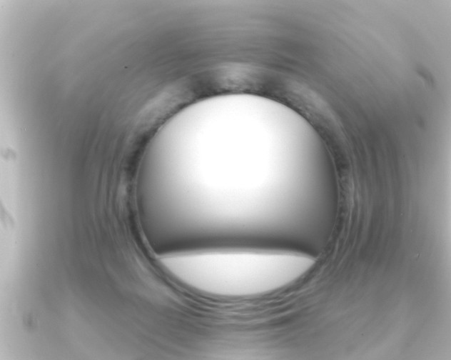 X0000091230266200708091118