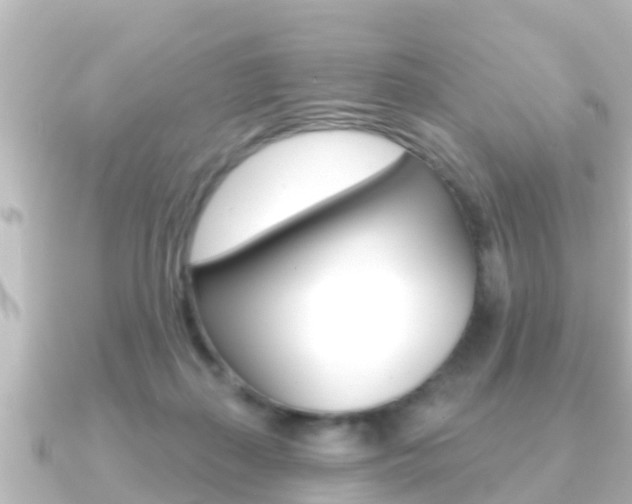 X0000091230267200708091118