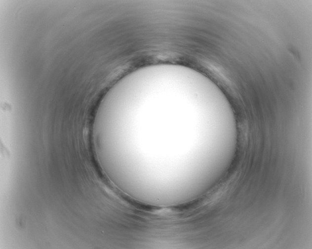 X0000091230269200708091118