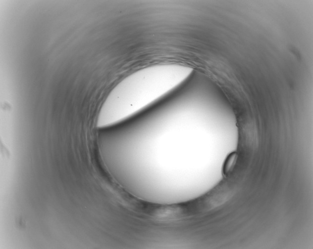X0000091230274200708091119