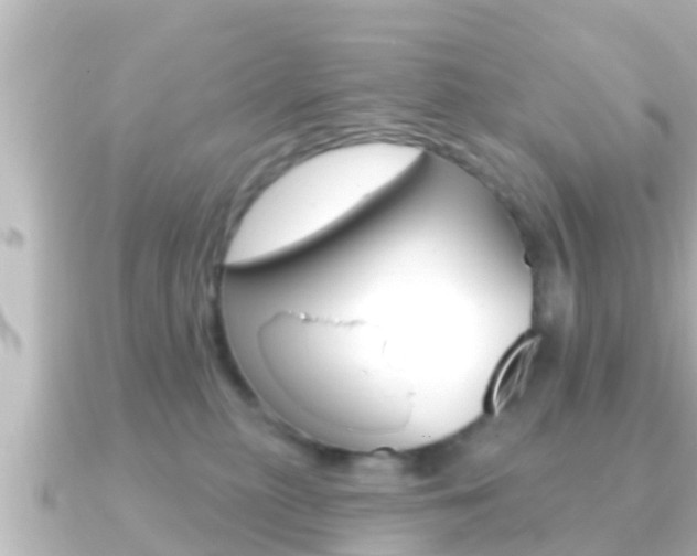 X0000091230279200708091119