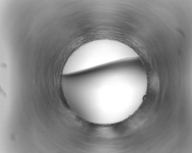 X0000091230283200708091119