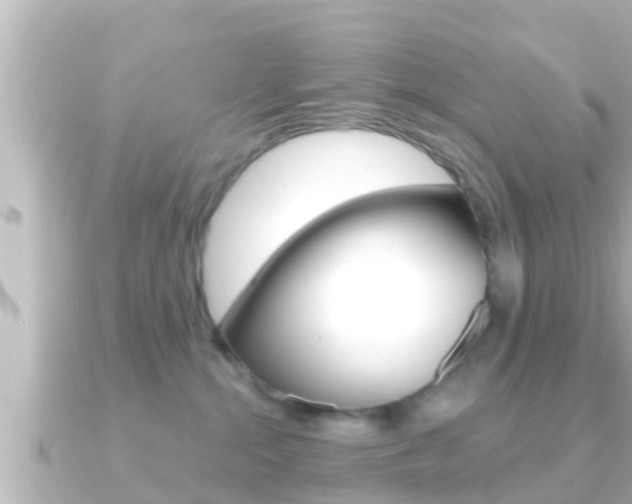 X0000091230284200708091119