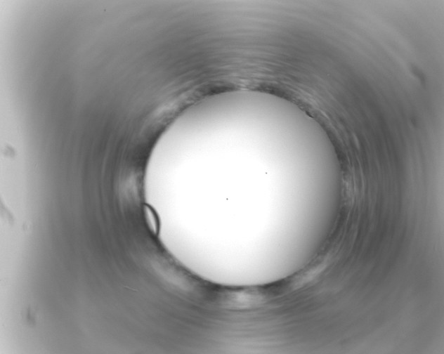 X0000091230286200708091119