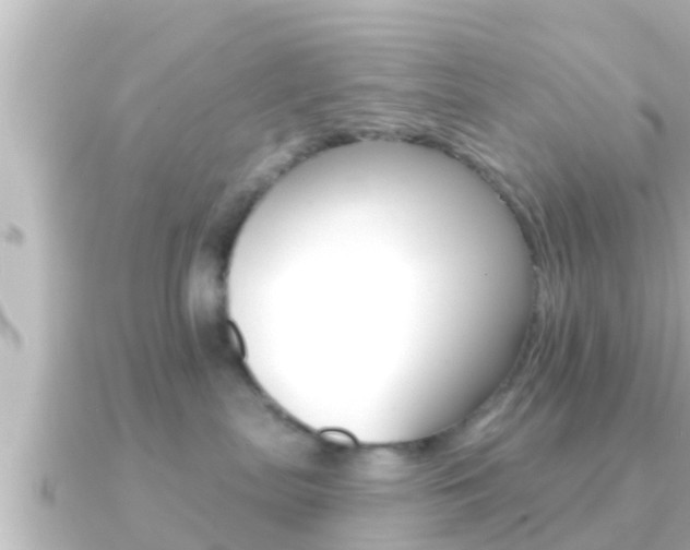 X0000091230287200708091119