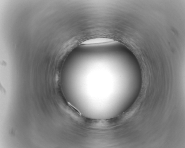 X0000091230288200708091119