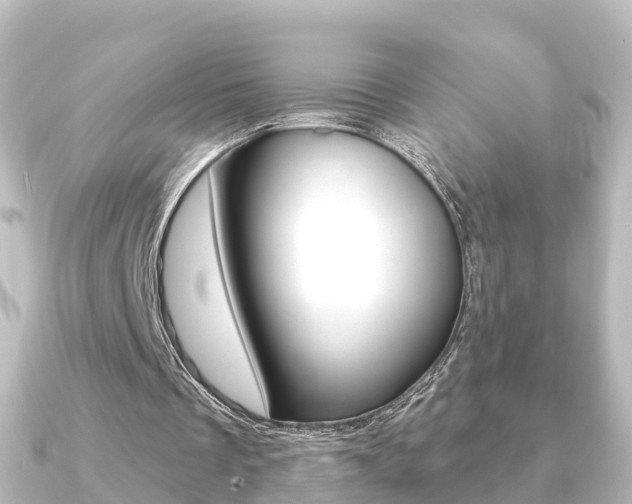 X0000091230289200708091118