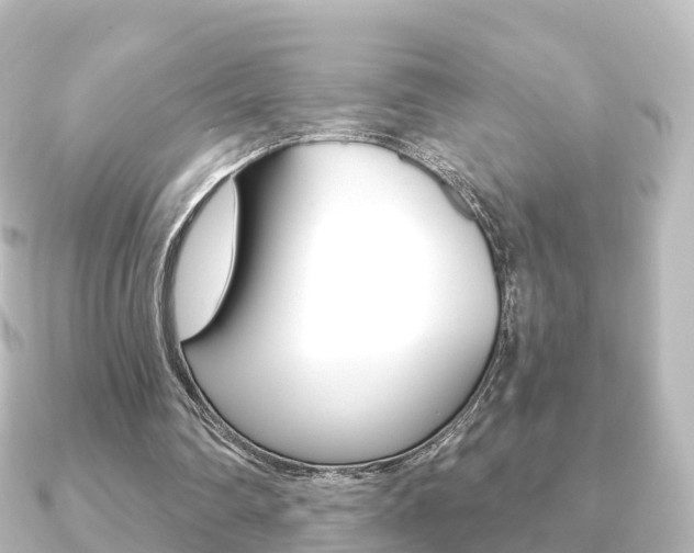 X0000091230290200708091118