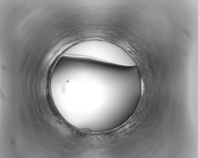 X0000091230291200708091118
