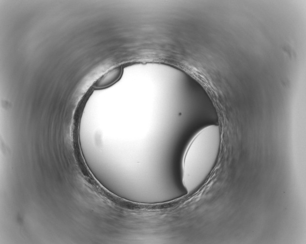 X0000091230292200708091118