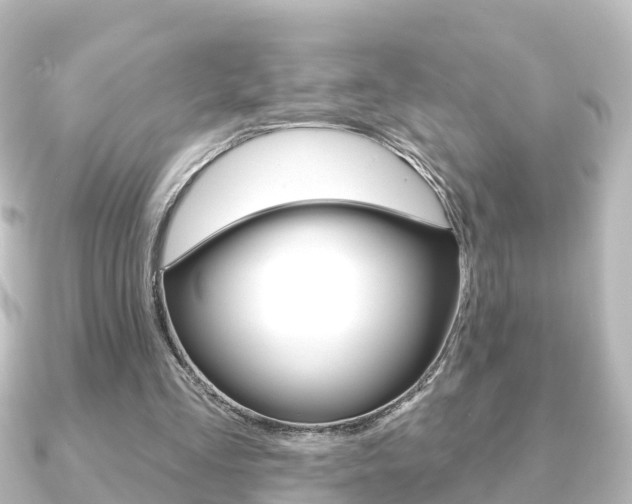 X0000091230293200708091118