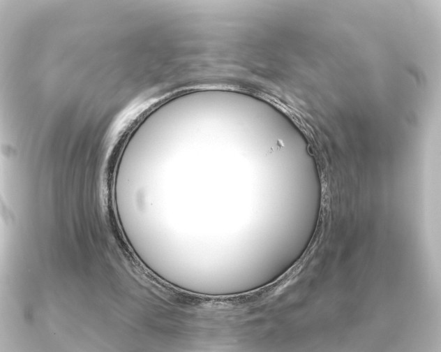 X0000091230294200708091118