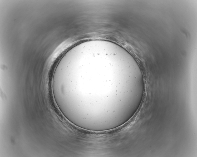 X0000091230295200708091118