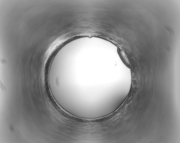 X0000091230296200708091118