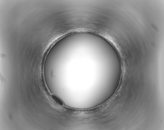 X0000091230297200708091118