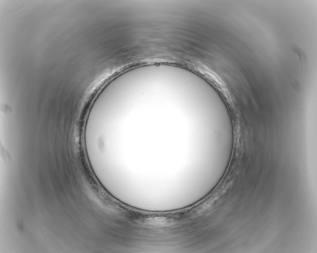 X0000091230298200708091118