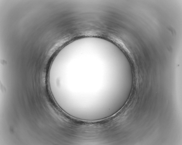 X0000091230299200708091118