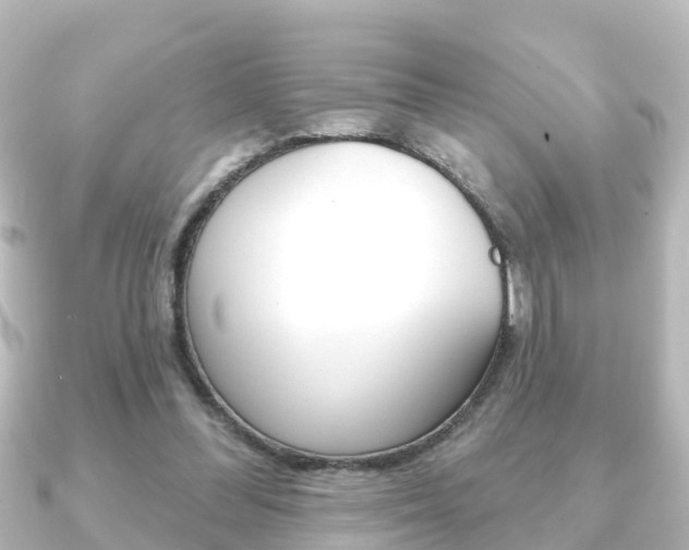 X0000091230300200708091118