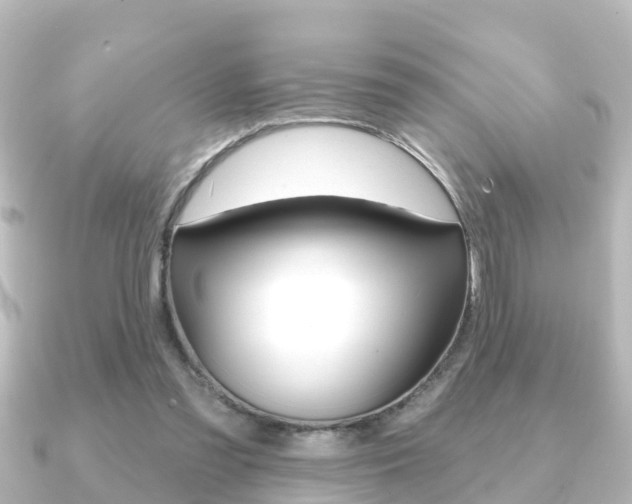 X0000091230301200708091118