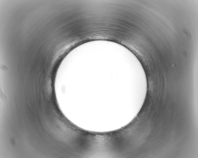 X0000091230302200708091118