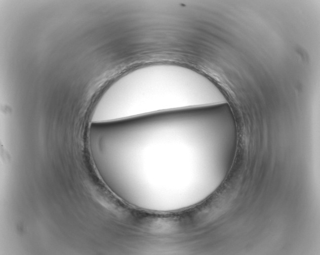X0000091230303200708091118