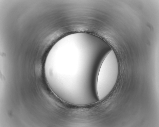 X0000091230304200708091118