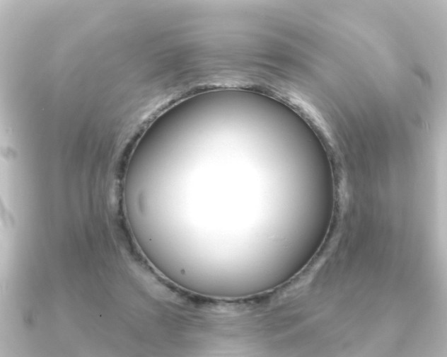 X0000091230305200708091118