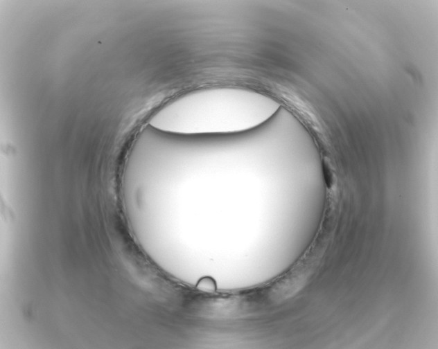 X0000091230306200708091118